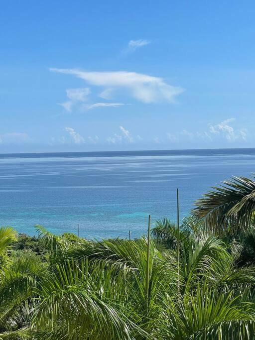 Spring Garden Mobay Resort Luxurious Apartments Montego Bay Extérieur photo