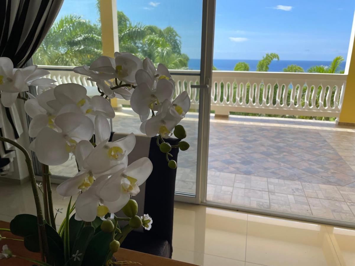 Spring Garden Mobay Resort Luxurious Apartments Montego Bay Extérieur photo